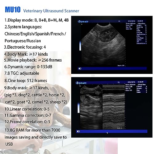 Image of DAWEI Veterinary Ultrasound Machine Portable Laptop with 3.5Mhz Convex Probe,6.5Mhz Retcal Probe Vet Ultrasound Scanner for Horse,Cattle,Goat,Pig,Big Animals Pets