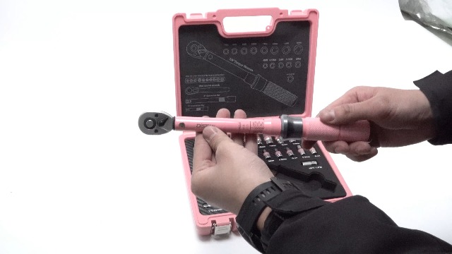 pink⭐︎ DISEN 28 PCS Pink Bike Torque Wrench Set 1/4 Drive, Gift