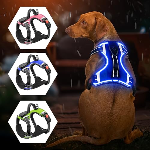 Imbracatura luminosa per cani – non tirare, LED, ricaricabile per cani di taglia piccola, media e grande (blu, XL)