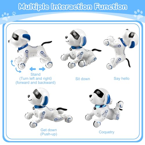 Britik Spielzeug für 8+ Jahre Mädchen Junge: Roboter Hund Ferngesteuert Spielzeug ab 8 9 10 11 12 Jahre Kinder Geburtstag Geschenkideen für Mädchen Junge Roboterhund Haustier Robot Kinderspielzeug