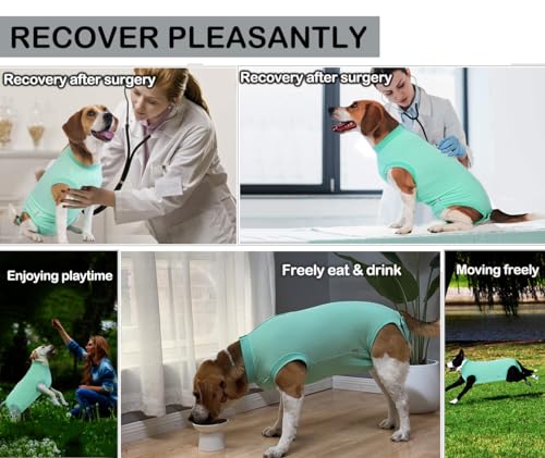 Image of Dog Zipper Surgery Recovery Suit for Male Neuter,Female Spay Recover Surgery Onesie,E-Collar & Cone Alternative Surgical Large Recovery Suit,Blank Green XXL