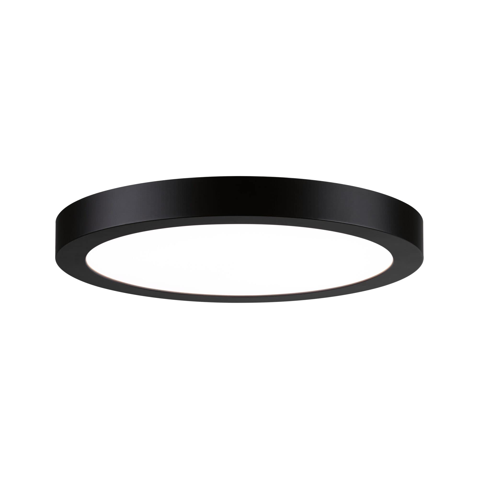 Paulmann 71025 LED panel Abia 300mm round Daylight white Black Light panel Plastic Ceiling panel luminaire 4000K