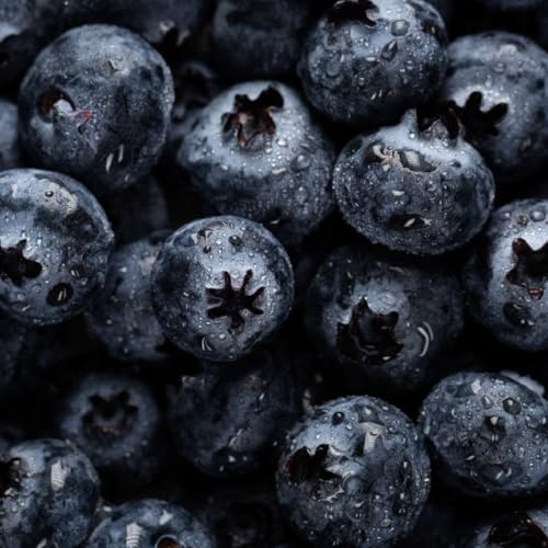 Blueberries cover art