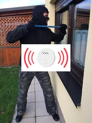ERABOS® Premium-Glasbruchalarm GX100 | von Polizeibeamten gegründet | kein FEHLALARM mehr | Profi-Glasbruchmelder | Einbruchschutz mit Fensteralarm