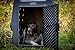 Dakota 283 Crate - Canine Rough and Tough Economy Kennel (Dark Granite, Intermediate)