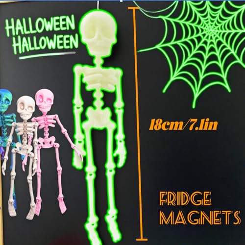 Imán de Nevera Esqueleto Articulado 3D - 6 Piezas miniatura 6