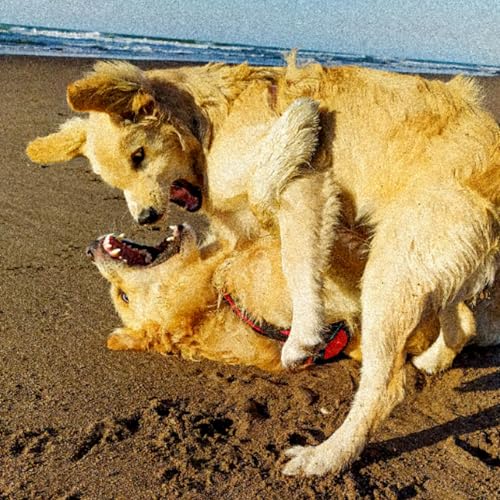 EP 64 | No soy yo, es lo heredado