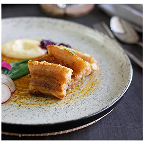 Roro Flat Ceramic Stoneware Charcoal Pencil Style Black White Matte Hand-Molded Modern High Edge Lipped Round Dinner | Serving Plates, 10.5 Inch Set Of 2 #TOP5