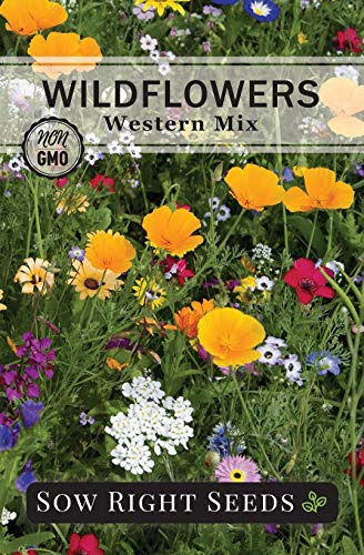 Sow Right Seeds - Wildflowers Seeds Mix for Planting in West - Non-GMO Heirloom Varieties to Grow a Wild Flower Garden - Perennial and Annual Flowers to Attract Pollinators - Colorful Blooms (1)