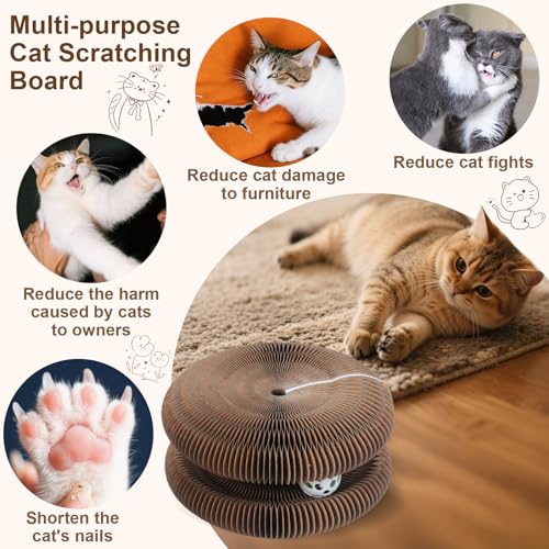 Qoosea Magische Orgel Katzenkratzbrett katzenspielzeug, Interaktive Kitten Kratzbrett Cat Toys, Magic Organ Cat Scratching Board mit Glockenball für Innen, Intelligenz Kratzpappe Katzen Spielzeug Set