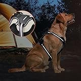 Amazon Basics Anti-Zieh-Hundegeschirr, verstellbar, weich gepolstert, mit reflektierenden Streifen, Schwarz, Größe Mittel