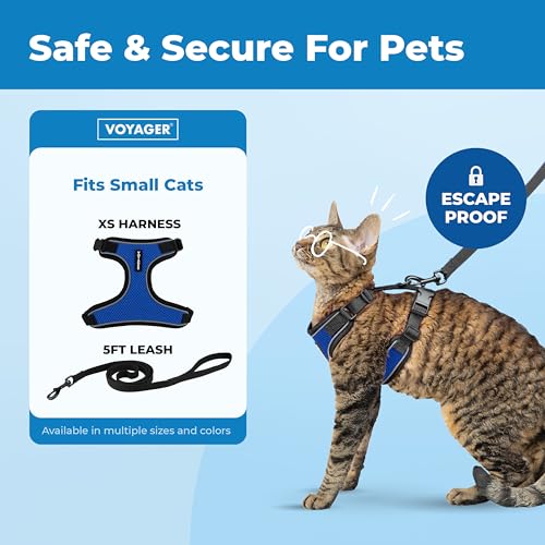 Image of Voyager Escape-Proof Step-in Lock Cat Harness & 5ft Neoprene-Handle Leash Set All-Weather Mesh with Reflective Stitching for Small to Large Cats by Best Pet Supplies, Black Trim-Royal Blue (327), XS