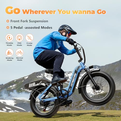 Electric Cargo Bike Long Range