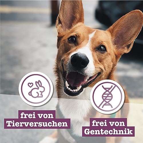 Chewies Fleischstreifen MAXI Hundeleckerli aus 100 % Kängurufleisch - 150 g - luftgetrocknete Känguru Kaustreifen für Hunde - zuckerfrei & getreidefrei - Dörrfleisch vom Känguru