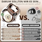 HAVERO Hundegeschirr Easy-On-Clip – [Kein Überkopfziehen] | Anti-Zug Y-Geschirr Gepolstert Reflektierend Atmungsaktiv Brustgeschirr – kleine, mittelgroße & Grosse Hunde Geschirr (Braun, M)