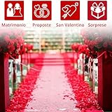 Jonami B07QC1H333 lato 4