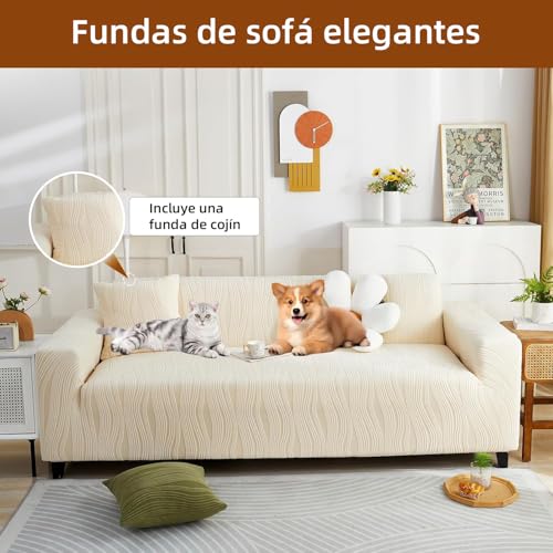 Opiniones de Cubre salas economicas disponible en línea. 23 Imagen adicional