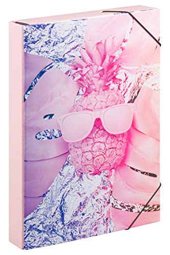 Baagl Carpeta para mochila escolar: A4 para niños con goma elástica y solapas interiores