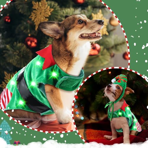 Disfraz Navideño de Duende para Perro con Banda LED miniatura 5