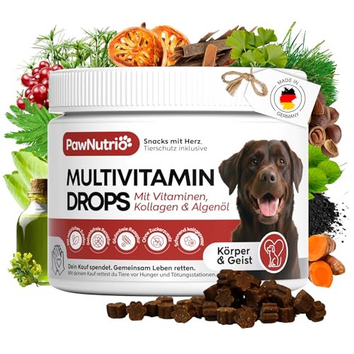 PawNutrio - Multivitamin Drops für Hunde I NATÜRLICH I 24-in-1 Vitamine I zur Immunstärkung & Vitalität Mit Vitamin B Komplex Kollagen Biotin Algenöl & Bierhefe Hypoallergen - ca. 120 STK.