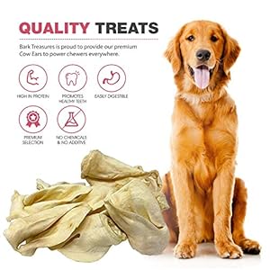 Extra-Large-Cow-Ears-Dog-Treats-Bulk-100-Count-Best-Cow-Ear-Dog-Chews-Safe-Rawhide-Alternative-Cow-Ears-for-Dogs - Cucciolini Doodles   Extra-Large-Cow-Ears-Dog-Treats-Bulk-100-Count-Best-Cow-Ear-Dog-Chews-Safe-Rawhide-Alternative-Cow-Ears-for-Dogs
