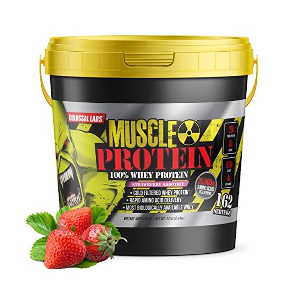 COLOSSAL LABS Muscle Protein Whey Powder [12 lbs/Pack of 1]Strawberry