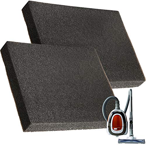 IMPRESA 2 Pack Replacement for Pre-Motor Bissell Â Pre-Motor Sponge Filter for the Hard Floor Expert Canister Vacuums - Series 1154 & 1161. - Vacuum Cleaner Filter - Home Improvement