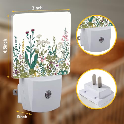 Image of Vintage Wildflower Herbs Plug Night Light,Botanical Floral Night Light Lamp Auto Sensor Energy Efficient Dusk to Dawn Lights for Girls Boys Women Room Decor,Hallway,Kitchen,Bathroom,Nursery,Stairs