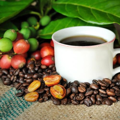 100% Kona Coffee En Grano Tostado Medio 8oz miniatura 4