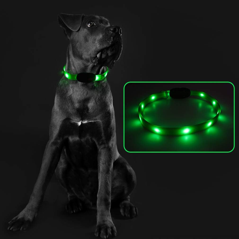 EXPAWLORER LED Dog Collar USB Rechargeable Dog Nylon Neck Collar Adjustable Waterproof Dog Irradiative Dog Collar for Safe Walking at Night