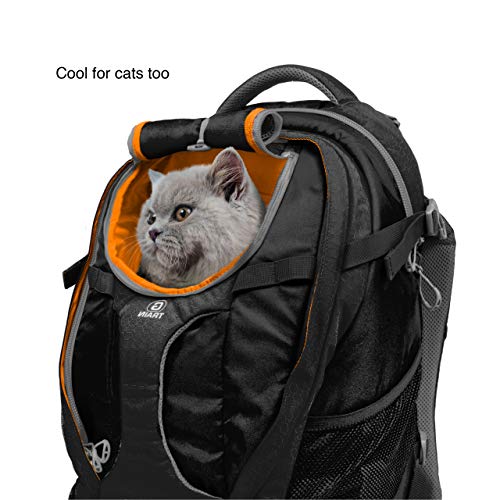 Kurgo G-Train - Dog Carrier Backpack for Small Pets - Cat & Dog Backpack for Hiking, Camping or Travel - Waterproof… - Image 6
