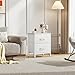 Sweetcrispy Nightstand with 2 Storage Drawers, 20