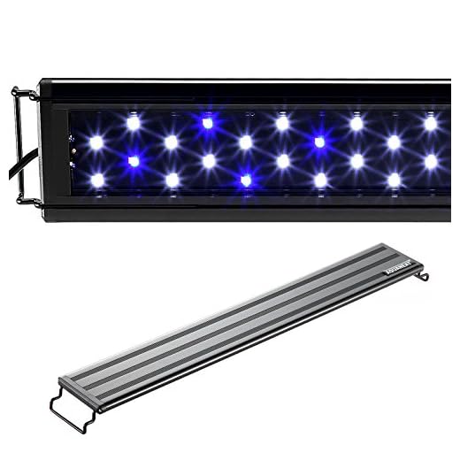 AQUANEAT LED Aquarium Light Blue and White for 12 Inch to 16 Inch Fish Tank Light Fresh Water Light