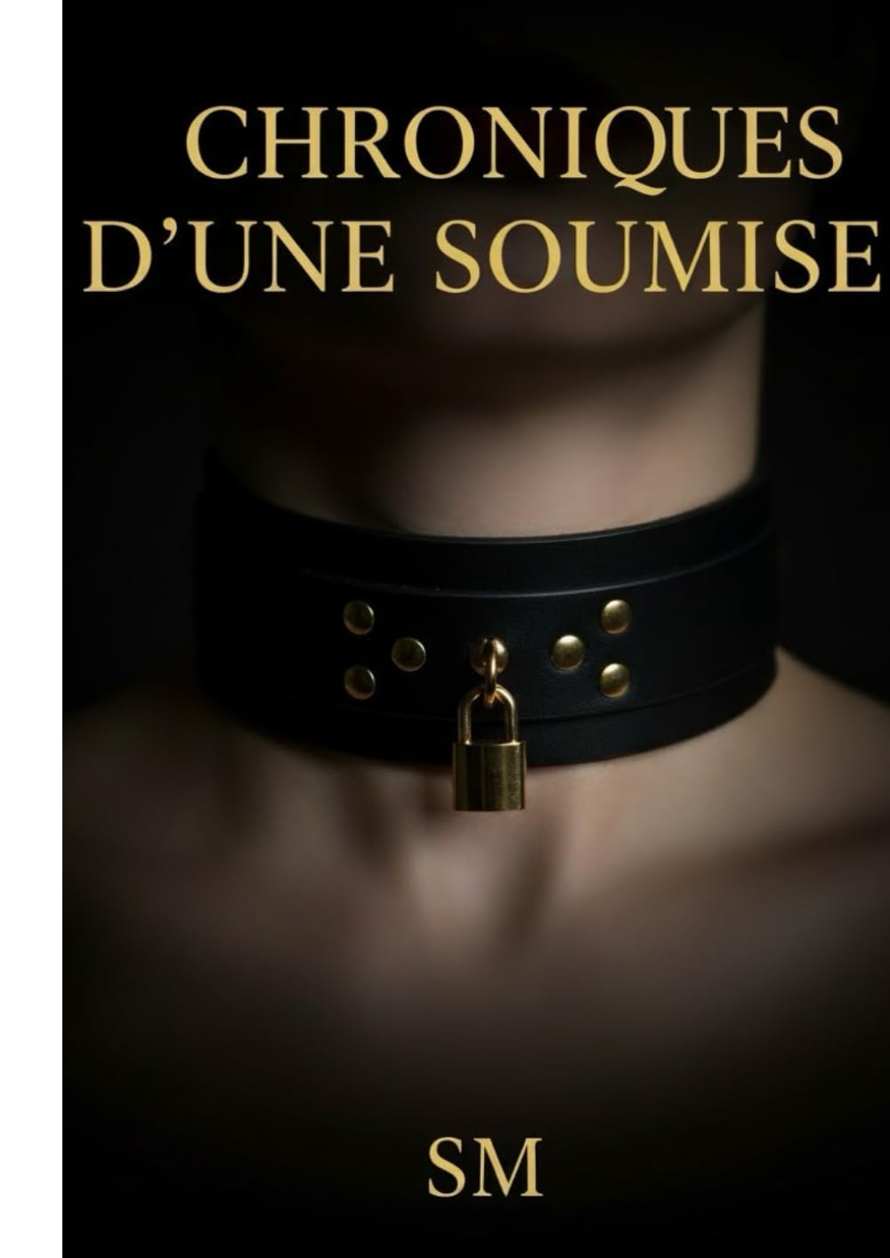 Chronique d'une soumise
