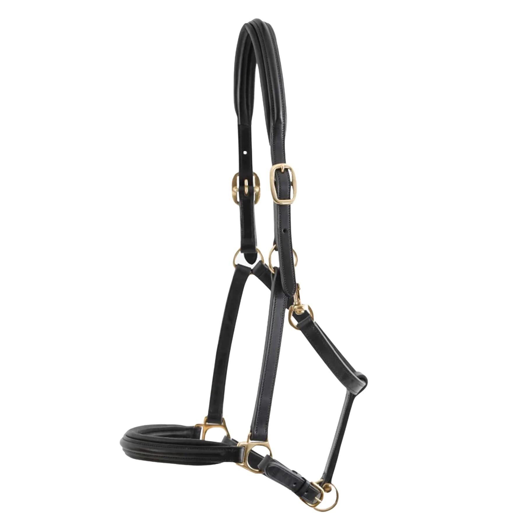 Premier Equine Cavezza per Cavalli Imbottita in Pelle