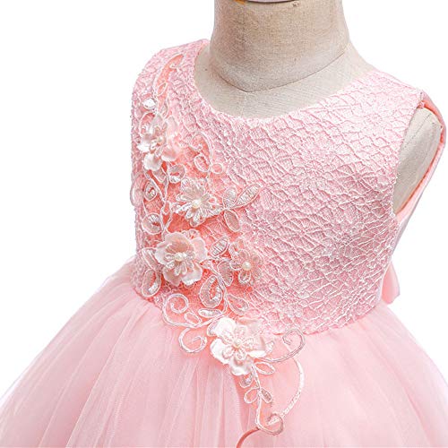 Baby Toddler Lace Dress Girls First Baptism Elegant Embroidery Wedding Party Flower Bridesmaid Dresses Up4
