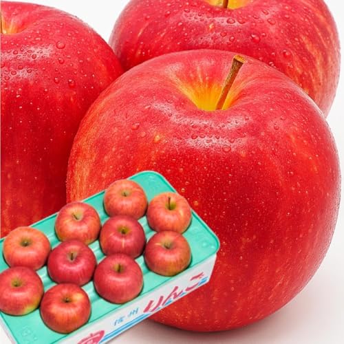 yx13xOz 쌧Y MB Tӂ S 3.7s Mtg v[g p ƒp 쌧 