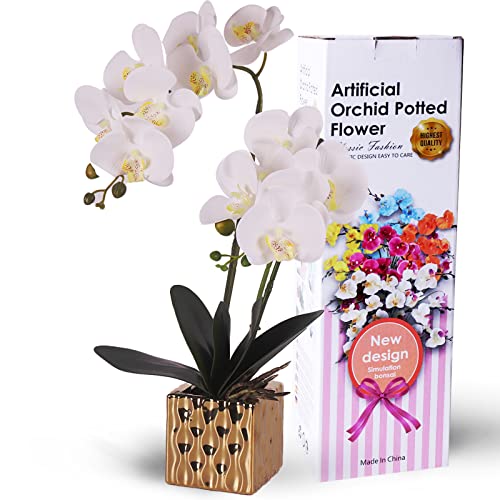 RERXN Dekorative echte Berührung gefälschte Orchidee Bonsai künstliche Blumen mit Blumentopf aus Kunststoff Phalaenopsis Blumenarrangements für Home Decoration (White 02) Cover