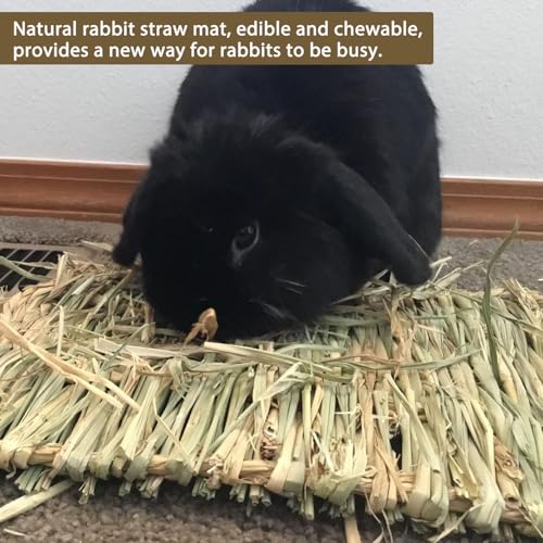 Image of 8 PCS Rabbit Grass Mat,Natural Bunny Grass Mat Woven,Pet Bed Nest Mats Rabbits Chew Toys for Hamsters Parrot Rabbits Hedgehog Guinea Pig Chick and Other Small Animals Hay Mat Sleeping(8 PCS)
