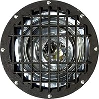 Algopix Similar Product 9 - Dabmar Lighting FG4310GRLMT