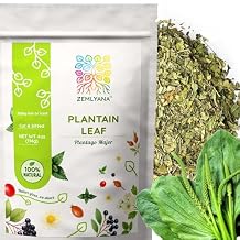 Dried Plantain Leaf Herb for Tea - Plantago Major Leaves - Hojas de Llanten Hierba - Cut & Sifted Natural Broadleaf Plantain Herbs, 4oz
