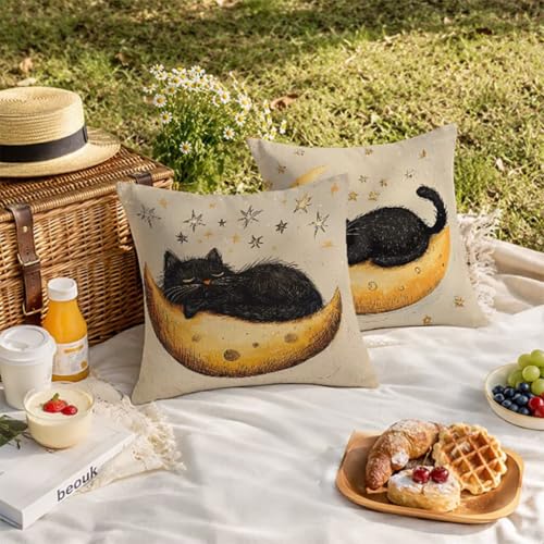 Housses de coussin extérieur 60x60cm pour canapé de jardin et salon