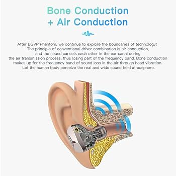 Amazon.co.jp: BGVP DMA 骨伝導IEM | 1DD+2BA+2BCD ハイブリッド
