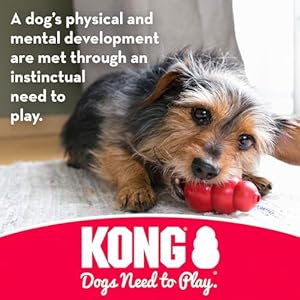 KONG Puppy Goodie Bone with Rope - Dog Chew Toy for Puppies - Natural Rubber Bone Toy with Cotton Rope - Teeth Cleaning Toy for Growing Puppies - for XS Puppies - Pink KONG Puppy Goodie Bone with Rope – Dog Chew Toy for Puppies – Natural Rubber Bone Toy with Cotton Rope – Teeth Cleaning Toy for Growing Puppies – for XS Puppies – Pink