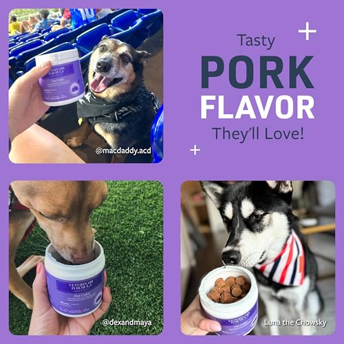 Image of Veterinary Formula Smart Vitality Pet Calm Supplement for Dogs - Soft Chews, 100ct - Promotes a Sense of Relaxation During Moments that May Cause Stress - Fireworks, Travel, Changes in Routine