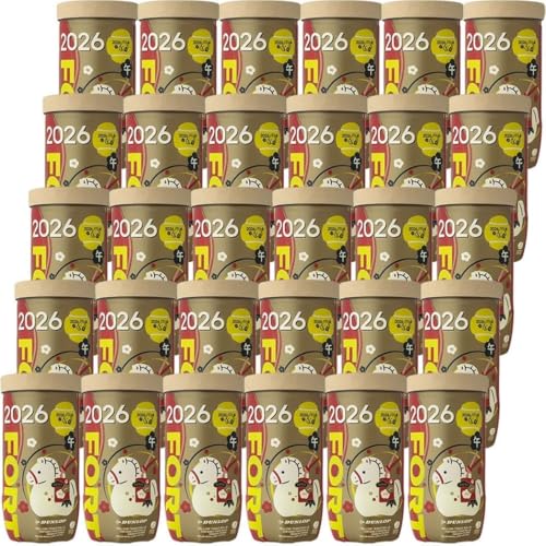 �_�����b�v DUNLOP �e�j�X�e�j�X�{�[�� ���x�{�[�� 2026�N�u�߁v FORT 2�� 1�� DFF26ETOYL2DOZ 11�����{�����\�聦�\��