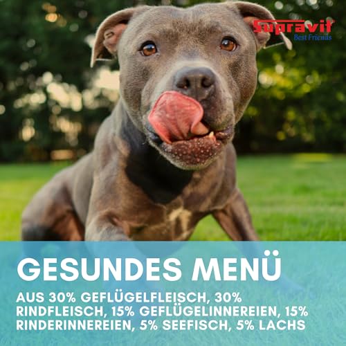 Supravit Nassfutter für Hunde I wohltuendes Hundefutter nass Fisch & Lachs I 12 x 410g Dosen I Hunde Nassfutter getreidefrei & ohne Soja I schmackhafte Delikatesse für den Hund