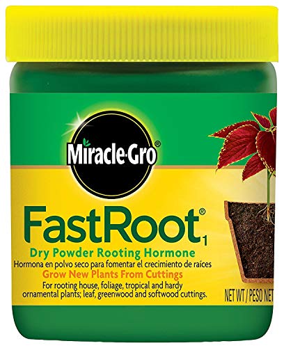 Miracle-Gro FastRoot Dry Powder Rooting Hormone Jar, 1-1/4-Ounce (2)