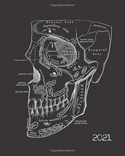 2021: Vintage Human Anatomy and Physiology Skull Art: Daily - Weekly - Monthly Calendar Planner Agenda Appointment Book: January 1, 2021 - December ... (Appointment Planner Calendars for 2021)