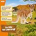 Schleich Wild Life Kangaroo Animal Figurine - Detailed Wild Animal Kangaroo Toy Figure, Durable for Education and Fun Play, Perfect for Boys and Girls, Gift for Kids Ages 3+